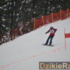 zdjęcie nr 192