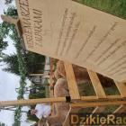 zdjęcie nr 135