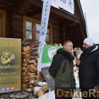 zdjęcie nr 7
