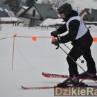 zdjęcie nr 220