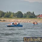 zdjęcie nr 194