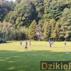 Fotka nr 4 z 10