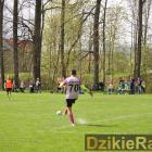 zdjęcie nr 33