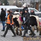 zdjęcie nr 129