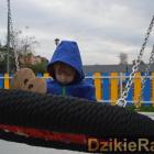 zdjęcie nr 73