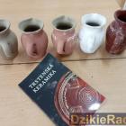 zdjęcie nr 13
