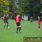 zdjęcie nr 111