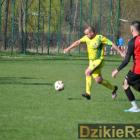 zdjęcie nr 20