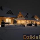 zdjęcie nr 10