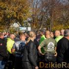 zdjęcie nr 433