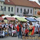 zdjęcie nr 250