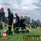 zdjęcie nr 430