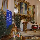 zdjęcie nr 130