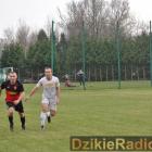 zdjęcie nr 247