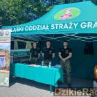 zdjęcie nr 44