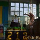 zdjęcie nr 15