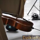 zdjęcie nr 44