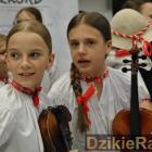 zdjęcie nr 40
