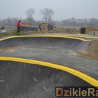 zdjęcie nr 10