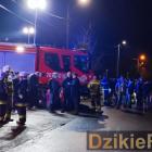 zdjęcie nr 13