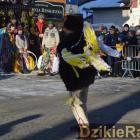 zdjęcie nr 22