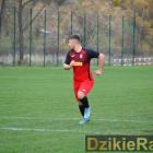 zdjęcie nr 8