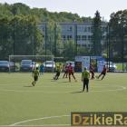 zdjęcie nr 12