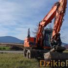 Fotka nr 5 z 7