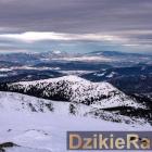 Fot. Izabela Sobel