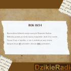 zdjęcie nr 37