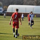 zdjęcie nr 16