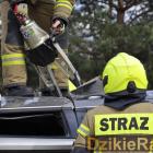 zdjęcie nr 30