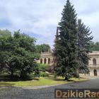 Fotka nr 4 z 7