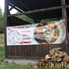 zdjęcie nr 43