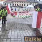 zdjęcie nr 12