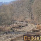 zdjęcie nr 11