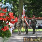 zdjęcie nr 7