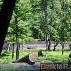 zdjęcie nr 20