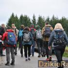 zdjęcie nr 129