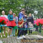 zdjęcie nr 106