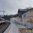 zdjęcie nr 10