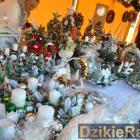 Fot. Dzikieradio