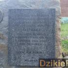 Fotka nr 4 z 6