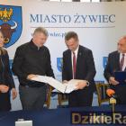 zdjęcie nr 9