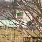 zdjęcie nr 19