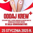 Fot. Hufiec ZHP Węgierska Górka 