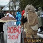 zdjęcie nr 12