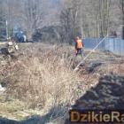 zdjęcie nr 13