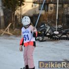 Fotka nr 0 z 28