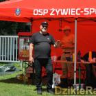zdjęcie nr 27